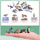 24 Animal Figurines - Educational Toys with Matching Flash Cards for Kids (Zoo & Sea Animals)