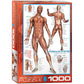 Eurographics Muscular System Puzzle (1000-Piece) (6000-2015)
