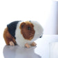 Cute Rabbit 8 Inch Guinea Pig Plush Toy Stuffed Animal Toy Plush Animal Doll (Black)
