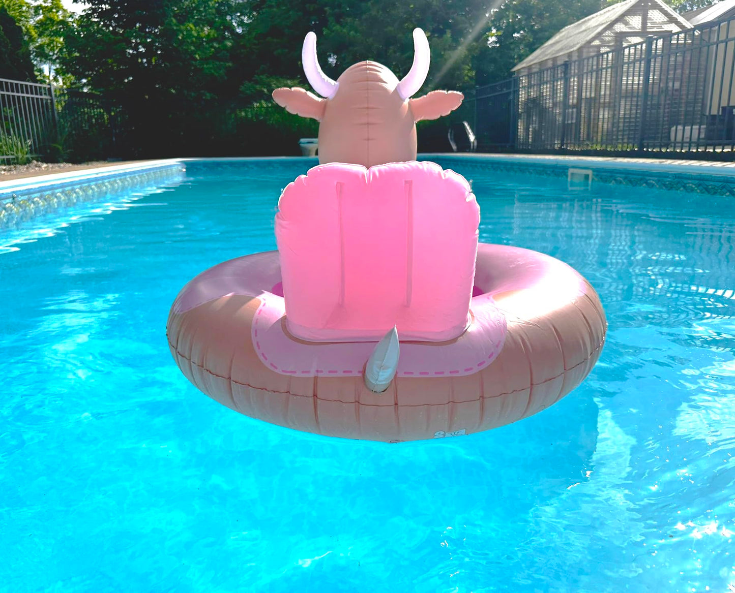 NPW Bull Pool Float Ring - Inflatable Vinyl Toy, Large Pink, FA-BULL-OUS, Perfect for Summer Adult Bachelorette Pool Decorations
