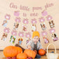 Pink Fall Pumpkin 1St Birthday Photo Banner Pumpkin Birthday Photo Banner For Newborn To 12 Months Milestone Photograph Bunting