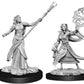 Wizkids Pocket Eyewitness Dinosaurs: Facts At Your Fingertips