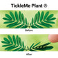 Tickleme Plant Birthday Party Favors (Pack Of 2) Leaves Fold When You Tickle It, Minutes Later The Leaves Re-Open - Fun Interact