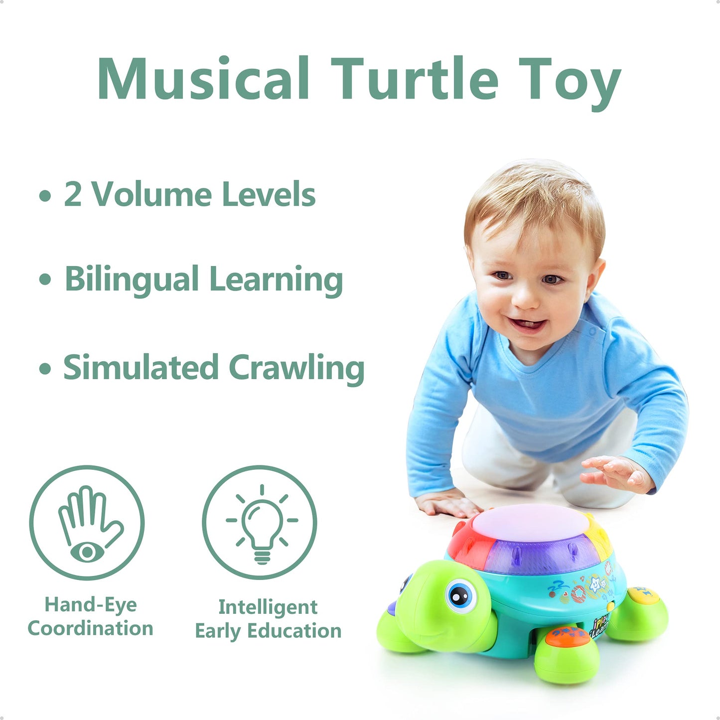 iPlay, iLearn Baby Musical Turtle Toy - Bilingual Learning, Light & Sound, Large, Yellow, Ideal for 6-12 Months, Educational Gift