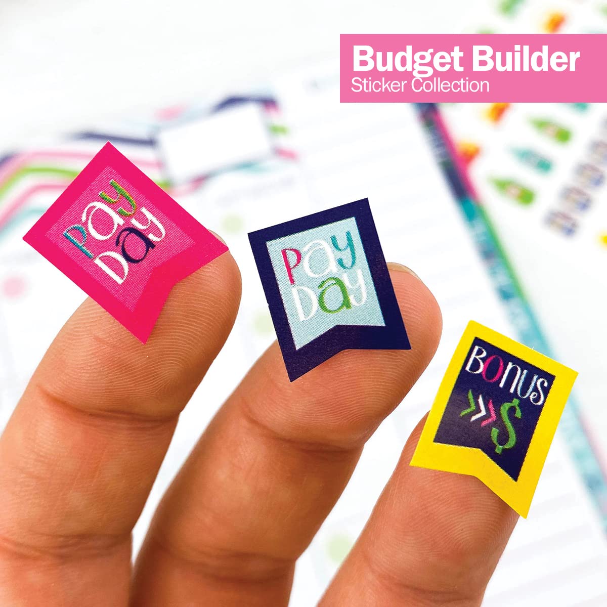 772 Planner Stickers - Budget Planning Collection. Bill Due Date Reminders, Expense Tracking, Savings Goals, Auto Expenses, Holi