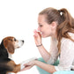 Mindware Make Your Own Doggy Day Camp