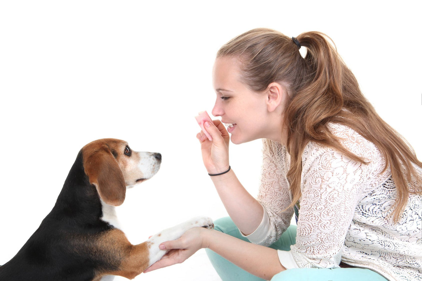 Mindware Make Your Own Doggy Day Camp