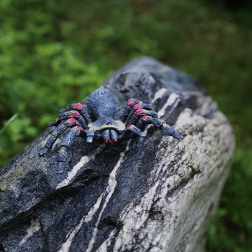 Sienon Realistic Spider Animal Figures- 2Pcs Lifelike Insect Figurines Toys Giant Whiteknee Tarantula Action Model For Kids Educ