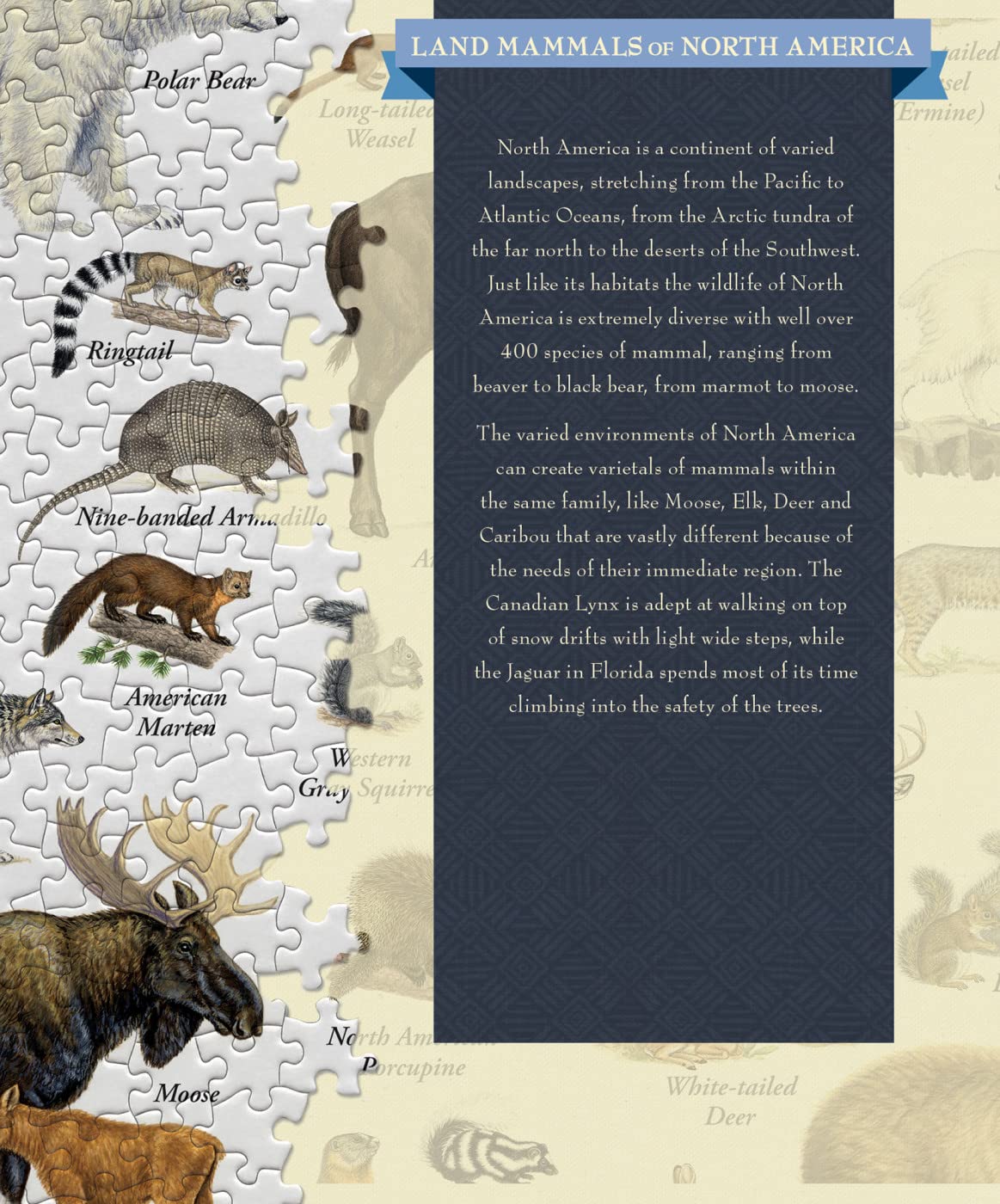 Masterpieces 1000 Piece Jigsaw Puzzle For Adults, Family, Or Youth - Land Mammals Of North America - 19.25'X26.75'