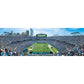 Master Pieces Nfl Carolina Panthers Stadium Panoramic Jigsaw Puzzle, Team Color, 1000 Pieces - 13' X 39' (7.06E+11)