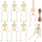Dulefun 8Pcs Skeletons Halloween Decorations 6 Inch Small Skeletons Figurines Mini Skeletons For Halloween Indoor Outdoor Gravey