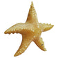 Jet Creations Inflatable Animals 20 Inch Wide Pack Of 4 Star Fish Party Pool Supplies Favors Birthday Gifts For Kids An-Star4, M