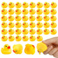 50Pack Mini Rubber Ducks, Rubber Duck Bulk Float Duck Baby Bath Toy, Shower Birthday Party Favors Gift Classroom Summer Beach Pool Party Games