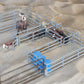Little Buster Toys Hereford Calf