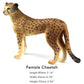 Funshowcase African Jungle Animals Toy Cheetahs Figure Realistic Plastic Figurine Playset Lot 2-Piece