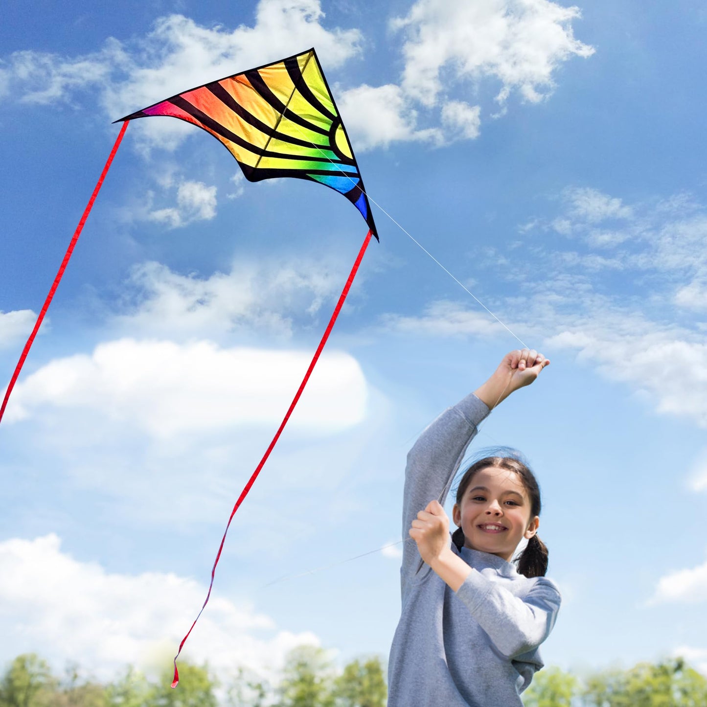 Xida Kite Large Delta Kites For Beginners & Adults, Wonderful Beginner Kite Suitable For All Ages,Easy Flyer Single Line Kite. B