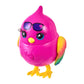 Little Live Pets Lil Bird Pippy Hippy