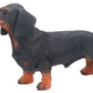 Dachshund Dog - Collectible Statue Figurine Figure Sculpture Puppy