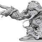D&D Nolzurs Marvelous Unpainted Miniatures: Wave 6: Panther & Leopard