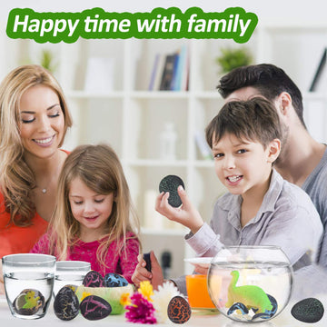 iGeeKid 24Pcs Hatching Dinosaur Eggs Party Favors for Kids Birthday Goodie Bag Stuffers  Grow in Water Hatch Dinosaur Egg with Assorted Color  Science Kits Novelty Toy Gifts
