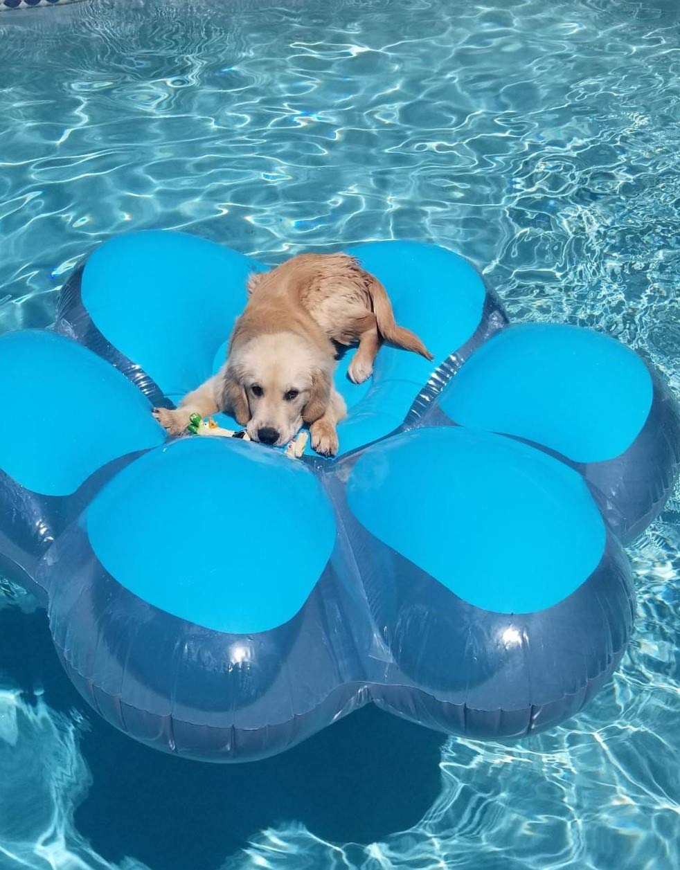 Swimline Inflatable Pawprint Island Pool Float, Blue - 66"/61"/16" Plastic, Model 90746