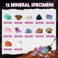 Byncceh Mineral Mining Kit Rock Mining Kit Gem Dig Kit - Dig Up 12 Rock & Mineral Collection Gemstones & Crystals Dig Kit For Kids Gemology Mining Gift Rocks Minerals, Excavation Toys For Boys Girls