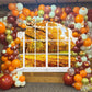 Autumn Window Photography Backdrop 8x6FT White Curtains Fall Forest Scene Background Autumn Thanksgiving Party Decorations Suppl