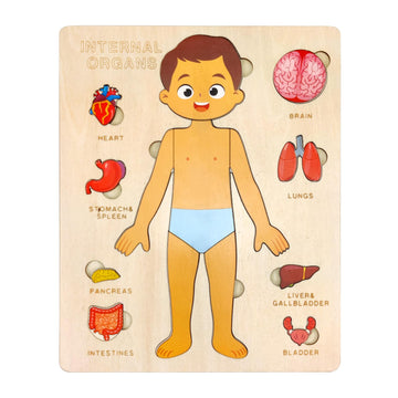 Wooden Body Puzzles For Kids, Toddler Montessori 14 Pieces Boy Anatomy Puzzle, Human Body Learning Toy With Internal Organs Earl