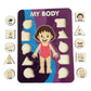 Ilsmysutra Wooden Human Puzzles For Toddlers Aged 3+ Preschool Toys For Toddlers|Toys For Baby|Developmental Baby Toys