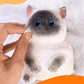 Big Taba Cat, Handmade Large Cat Taba Squishy Toys, Stress Relief, Funny, Cute Soft Cat Squishy Stress Toy Gifts (Large Siamese