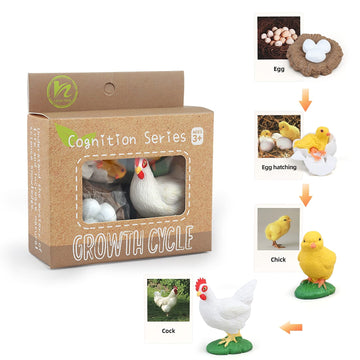 Montessori Chicken Life Cycle With Flash Cards, Realistic Animal Figurines Toy, Animal Educational Matching Game For 3+ Year Old