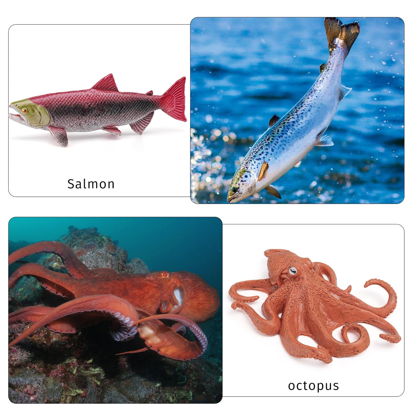 Fish Life Cycle Of Octopus Figurines Salmon Figurines Octopus Figures Set Toys Realistic Animals Preschool Animals Eduactional P
