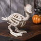 Crazy Bonez Skeleton Baby Duck