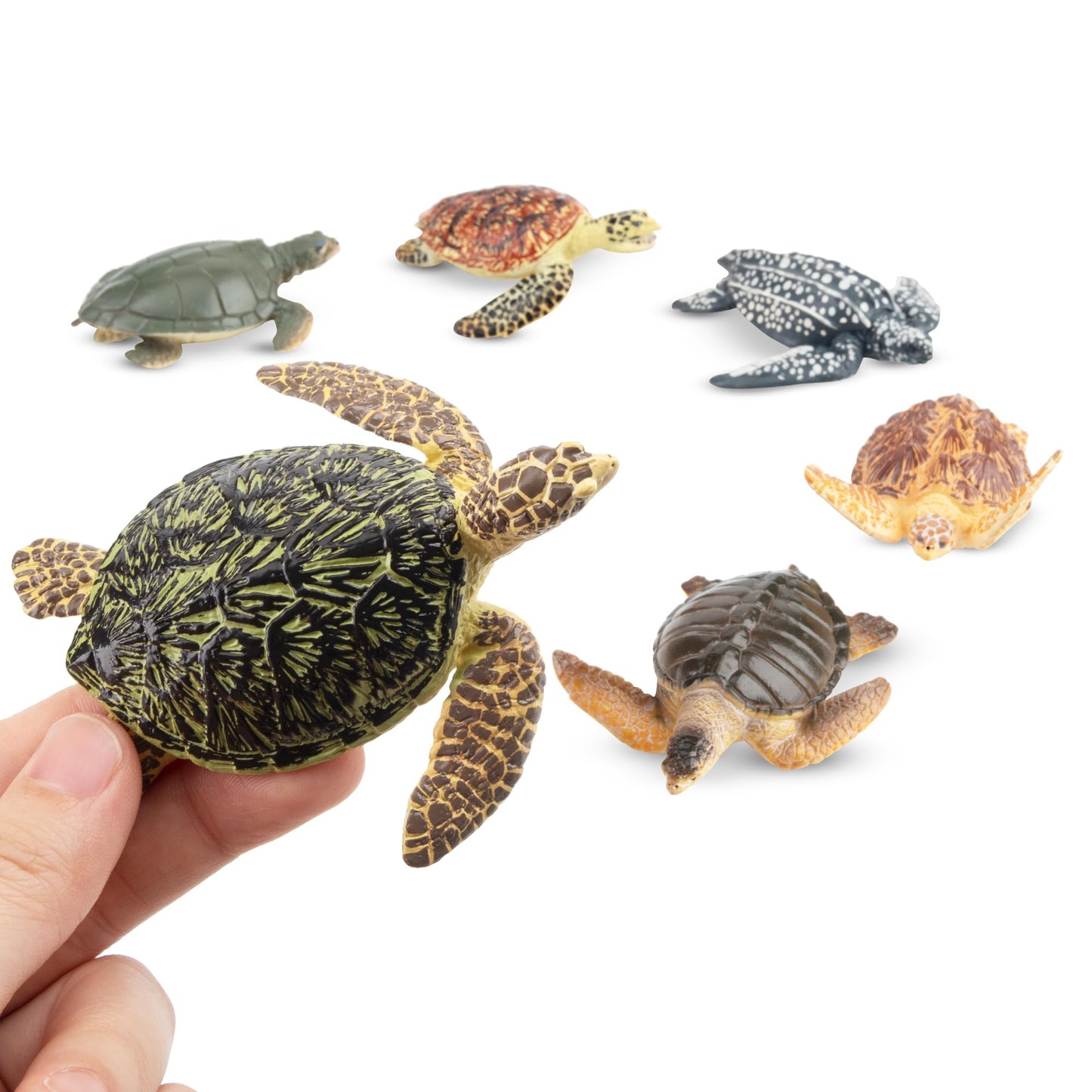 Toymany 6PCS Sea Turtle Figurines Set - Realistic Plastic Ocean Animals for Kids, Educational Toy, Cake Toppers, Birthday Gift