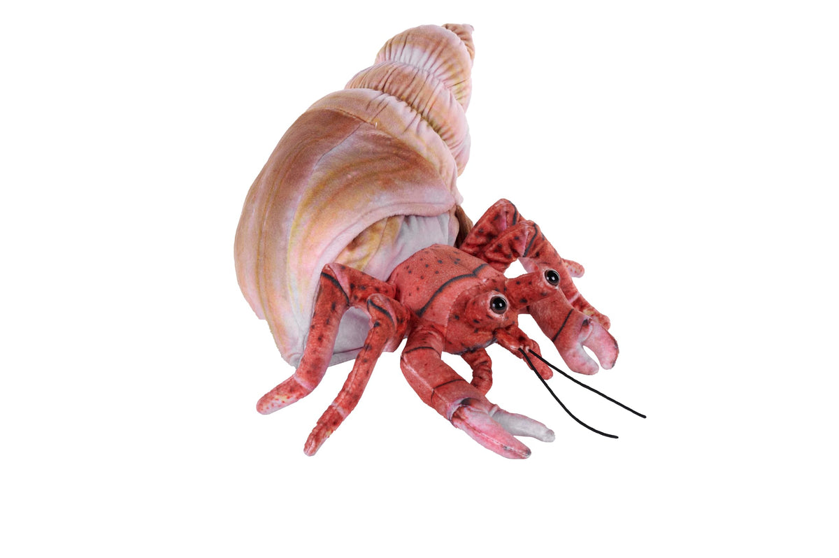 Wild Republic Living Earth Hermit Crab Stuffed Animal  12