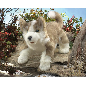Folkmanis Wolf Pup Hand Puppet, Gray, White, Black, 1 Ea