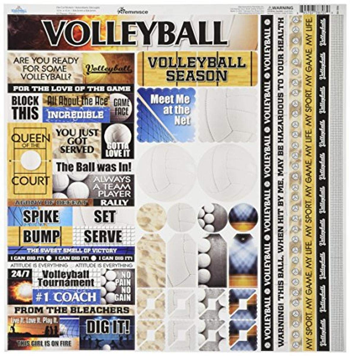 Reminisce Volleyball Variety Stickers 12X12