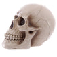 Puckator Mb185, Piggy Bank, Skull Design