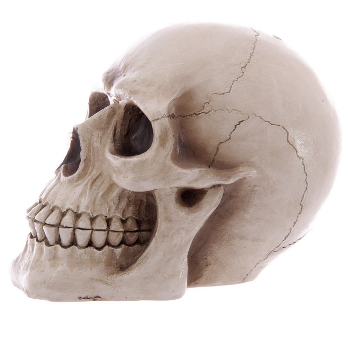Puckator Mb185, Piggy Bank, Skull Design