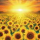 CHAMBERART 1000 Piece Jigsaw Puzzle - Premium Golden Sunflower Design, Paper Material