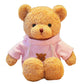 AUCOOMA Teddy Bear Stuffed Animal Cute Teddy Bears Plush Pink Hoodie Gifts for Kids 11.8