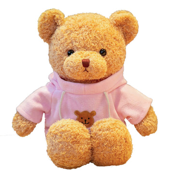 AUCOOMA Teddy Bear Stuffed Animal Cute Teddy Bears Plush Pink Hoodie Gifts for Kids 11.8