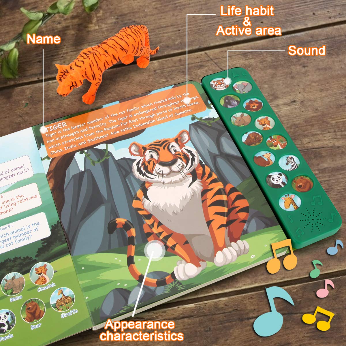 Tudoccy Safari Animals Figures Toys - 13 Realistic Plastic Figurines & Sound Book - Educational Gift for Kids 3 Years & Up - Multi-color