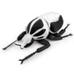 Zhongxin Made Realistic Goliathus Regius Plush Toy - 10'' Goliathus Regius Beetle Stuffed Animal, Soft Crustaceans Animals Model