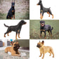 Eoivsh 12Pcs Realistic Dog Figurines Toy, Plastic Puppy Figures Set, Dogs Figures Cake Toppers Birthday Gift For Kids Toddlers