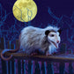 Folkmanis Opossum Hand Puppet, Gray, Black, Brown, 1 Ea
