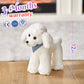 Athoinsu Realistic White Poodle Puppy Stuffed Animal Soft Adorable Hugging Puppy Dog Plush Toy Children'S Day Holiday Birthday For Toddler Kids, 12'