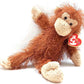 TY Beanie Zig Zag the Monkey Punkies Zigzag 7