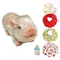 OtardDolls 5 Inch Lifelike Reborn Pig Dolls, Full Silicone Soft Reborn Pig Dolls Mini Realistic Pig Toy Newborn Cute Newborn Bab