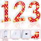 Glooglitter Mouse Birthday Decorations Marquee Light up Number Glowing Mouse Number Sign for 1st 2nd 3rd Boy Girl Kid Birthday P